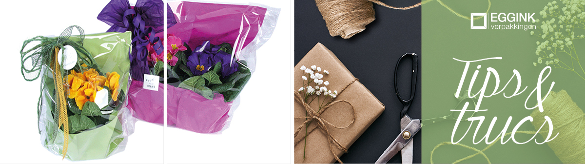 Tips_Trucs_Banner_12_bloempot_inpakken_folie1.jpg Tips_Trucs_Banner_12_bloempot_inpakken_folie1.jpg