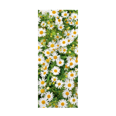 banner-maggy-dubbelzijdig-75-180cm-0115926.png