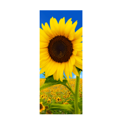 banner-sunfield-dubbelzijdig-75-180cm-0115925.png