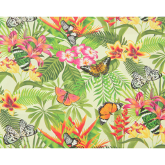 inpakpapier-tropical-butterfly-50cm-0115491.png