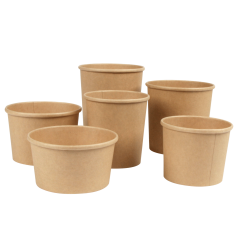 papieren-soup-bowls_deksels-0117782_F.png