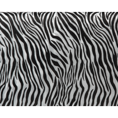 zijdevloei-zebra-0112754.png