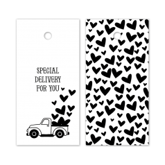 Hangkaartje-Special-delivery-for-you-wit-zwart-0119016.png