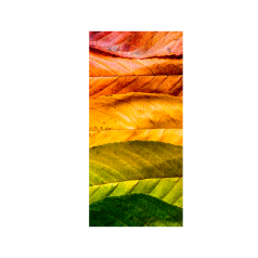 banner-seasons-enkelzijdig-0118495.png