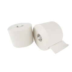 Toiletpapier-met-dop-2-laags-0112738.png