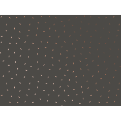 Inpakpapier-care-0122421.png