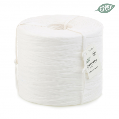 paper-raffia-wit-00-0123712.png