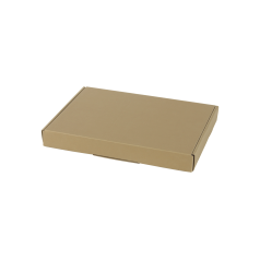 Brievenbusdoos_A5_goud_0124044_koec-7e.png