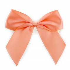Ds-50-bow-satijn-Zalm-met-clip-25mm-kleur-54-0124935-1.png