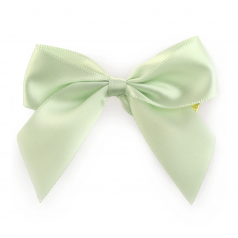 Ds-50-bow-satijn-mintgroen-met-clip-25mm-kleur-61A-0124938-1.png