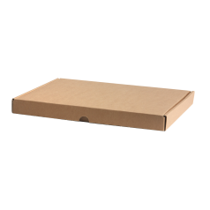 brievenbusdoos-klep-a3-0118798_526w-69.png