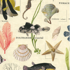 inpakpapier-50cm-Sansibar-40545-0124924.png