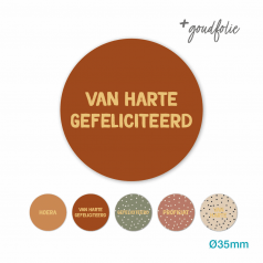 Etiketten-Stickers-assorti-op-rol-rond-35mm-Gefeliciteerd-multi-colour-_-goudfolie-0125998_b.png