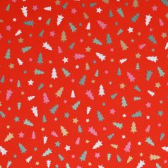 Inpakpapier_kerst_cosy_christmas_rood_0125474_0125475_ond0-m2.jpg