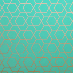 inpakpapier-K602511-1-Hexagon-Green-50cm--80gr-0125865.png