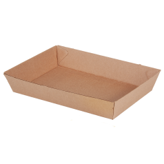 Kartonnen_tray_23x15x4.png