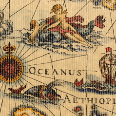 inpakpapier-PF384KB-30cm-Ocean-Map-104875.png