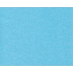 inpakpapier-kraft-blauw-30cm-105013.jpg
