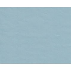 inpakpapier-kraft-vintage-blauw-50cm-103503.jpg