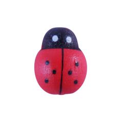 decoplakker-houten-ladybird-12mm-104145.png