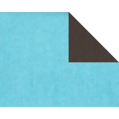 inpakpapier-kraft-uni-blauw-bruin-dubbelzijdig-30cm-105085.png