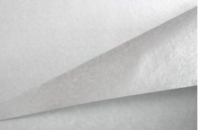 zijdevloei-papier-vellen-zilver-100749.jpg