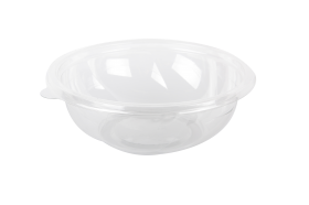 PET_salade_bowl_0121926.png