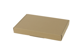 Brievenbusdoos_A5_goud_0124044_koec-7e.png