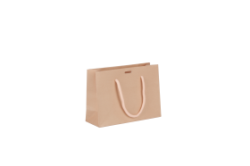 Papieren_draagtas_apricot_0123027.png