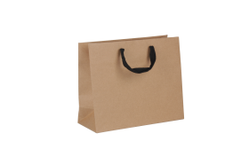 papieren_draagtas_buin_0111109.png
