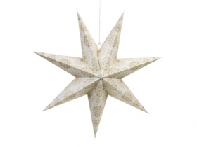 Kerstster_wit_goud_60cm_0122943.png