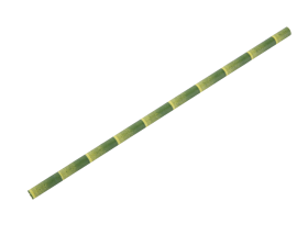 papieren-rietje-bamboe-0114633.png