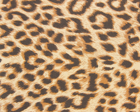 inpakpapier-leopard-50cm-0115497.png