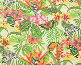 inpakpapier-tropical-butterfly-50cm-0115491.png