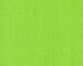 Inpakpapier kraft Uni Lime