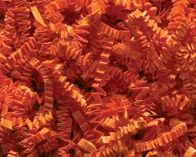 crinkle-cut-oranje-101644.jpg