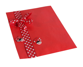 cadeauzakjes-rood-17-25cm-103451_A.png