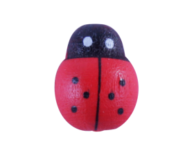decoplakker-houten-ladybird-12mm-104145.png