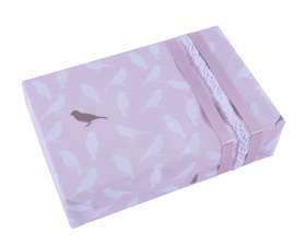 inpakpapier-birdie-pink-30cm-0112841_A.png