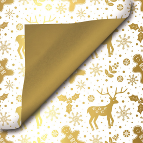 Inpakpapier-wonderful-christmas-0121668-0121669.png