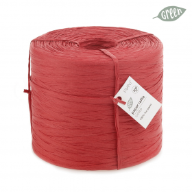 paper-raffia-rood-21-0123747.png