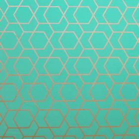inpakpapier-K602511-1-Hexagon-Green-50cm--80gr-0125865.png