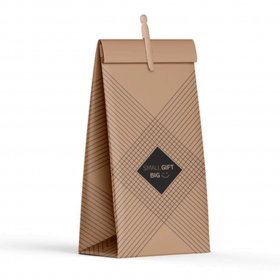 0127069_pak_50_geschenkzakken_626_S_Small_gift___knijper_200x100x470mm.png