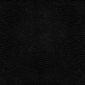 inpakpapier-PF107LG-Lézard-50cm-zwart-0126637.png