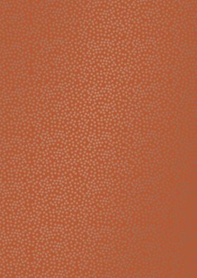 Inpakpapier_Minidots_Brick_Gold_0119898_0119899.jpg