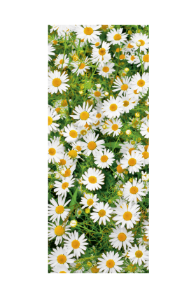 banner-maggy-dubbelzijdig-75-180cm-0115926.png