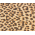 inpakpapier-leopard-30cm-0115496.png