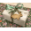 houten-easterbunny-35mm-0116896_B_wdcq-l2.png