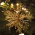 0125564-65_k5x8-pd.png