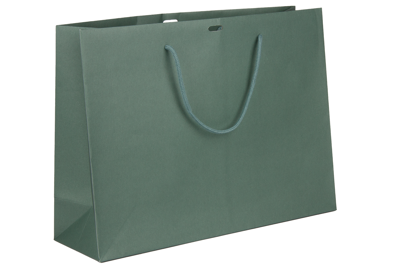 Luxe papieren draagtas groen